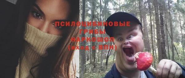 Альфа ПВП Абаза