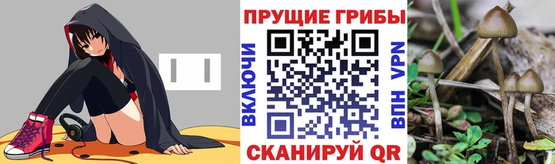 что такое наркотик  Опочка  Псилоцибиновые грибы MAGIC MUSHROOMS 