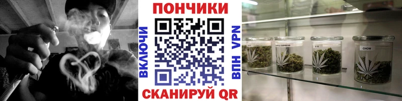 Канабис SATIVA & INDICA  mega ССЫЛКА  нарко площадка наркотические препараты  Опочка 